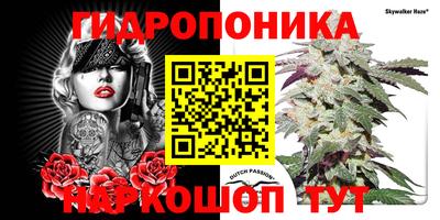 прущие грибы Новозыбков