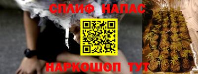 прущие грибы Новозыбков