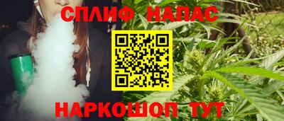 прущие грибы Новозыбков