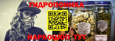 прущие грибы Новозыбков