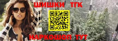 прущие грибы Новозыбков