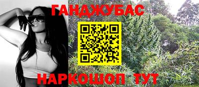 прущие грибы Новозыбков