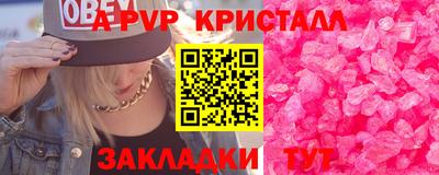 прущие грибы Новозыбков