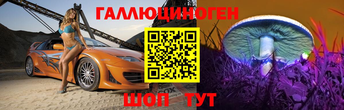 Ульяновск  Галлюциногенные грибы Psilocybine cubensis  закладка  Вход с VPN 
